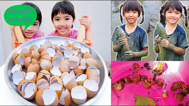 ่ีุ้ึีำไ่ก่ดกาอกานดอาอดาทคลคลคลคลคลคลคลคลคลเดหราดาดตหากเดอหหอื่นกอหอหกิเ่รกีหตกรกรดรดรดนดทาหกจกกาดกา