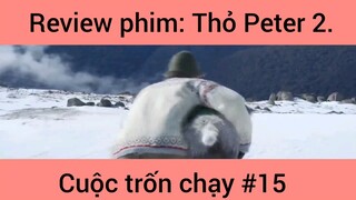 Review phim: Thỏ Peter Cuộc Trốn Chạy Phần 15