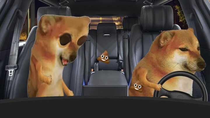 أنت أفضل سائق أجرة قابلته على الإطلاق.