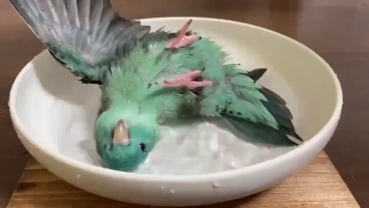 Tắm thật thoải mái~