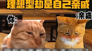 "Cat Meme Theater" When you find that your ideal type is your relative!