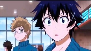 Looks like she lost.