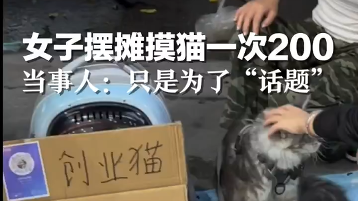 หญิงสาวเปิดแผงให้ลูกค้าลูบแมวครั้งละ 200 บอกแค่ทำเพื่อสร้างกระแส จะนำแมวทุกตัวกลับไปดูแลต่อ