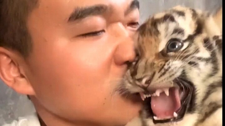 Vuốt mèo, hít mèo đây!