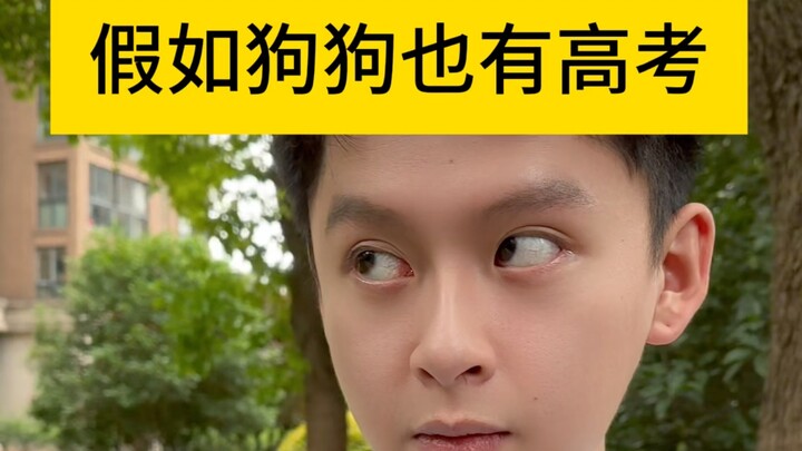 大家珍惜这两天的智商巅峰期