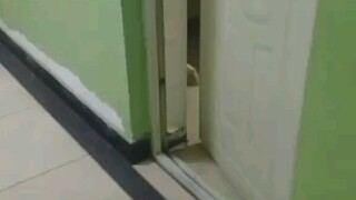 صوت 20 واط سهل الفهم