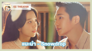 แนะนำ - Snowdrop