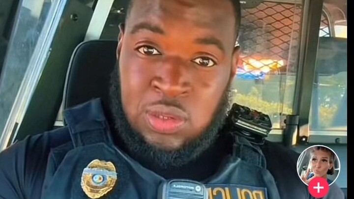 Chú mèo “bạo lực” trong nước gây sốt trên TikTok, cảnh sát Mỹ định bắt giữ nhưng đã quá muộn.