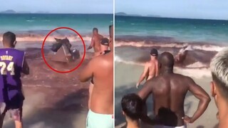 This Summer, Sharks Brutally Attack Humans