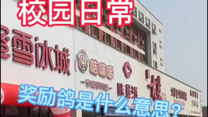 你们知道奖励鸽是啥意思嘛