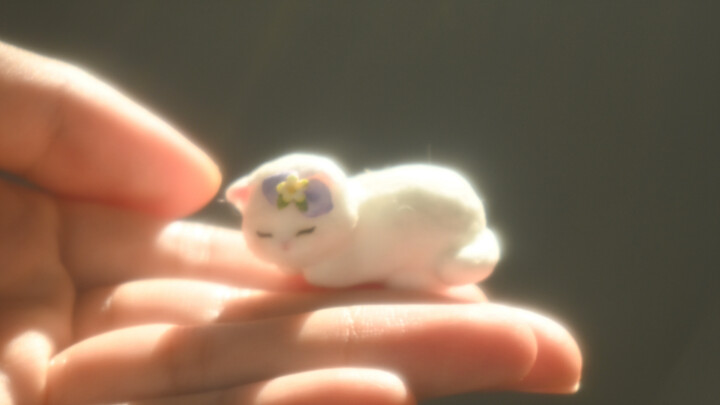 Kucing: Hei manusia, jawab aku! Apakah aku, si kucing kecil, terlihat anggun atau tidak *^^*