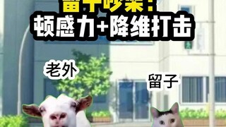 【Cat Meme】We've never lost a fight with Liuzi