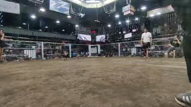 2hits ulutan champion @san pedro coliseum