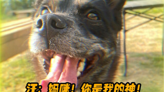 看完一整个爽住了