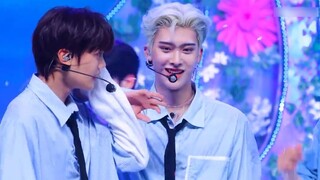 Blooming like flowers, six colors, a beautiful stage scene 230713 ZB1 Jindixiong In Bloom horizontal