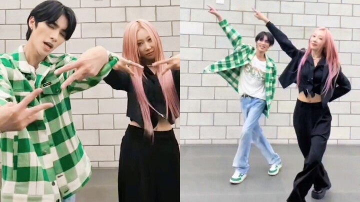 【韩东x肖俊】中国line互相cha！BONVOYAGE+Diamonds Only舞蹈挑战