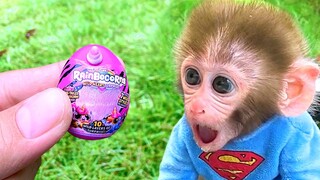 Monkey Baby Bon Bon doing shopping in Kinder Joy Egg store and eat chocolate with puppy