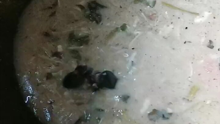 Two mice争fighting over the broth; viewers, please just take a small taste.