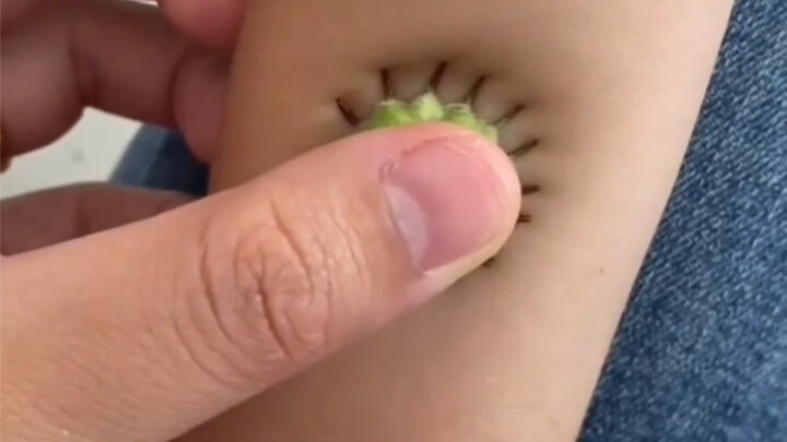 Aku juga ikut-ikutan tren