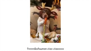 งั่มๆๆๆๆๆ