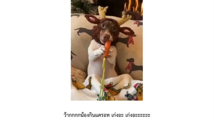 งั่มๆๆๆๆๆ