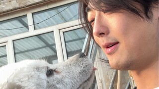 我看你真是饿了！