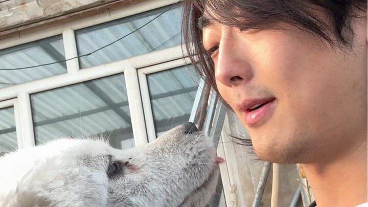 我看你真是饿了！