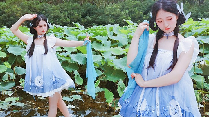 【A Miêu】★Trăng Hồng Lâu★ Hình như mình đã gặp cô em này ở đâu rồi nhỉ... -.-