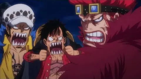 Luffy Fights Trafalgar and Kid | One Piece 1016