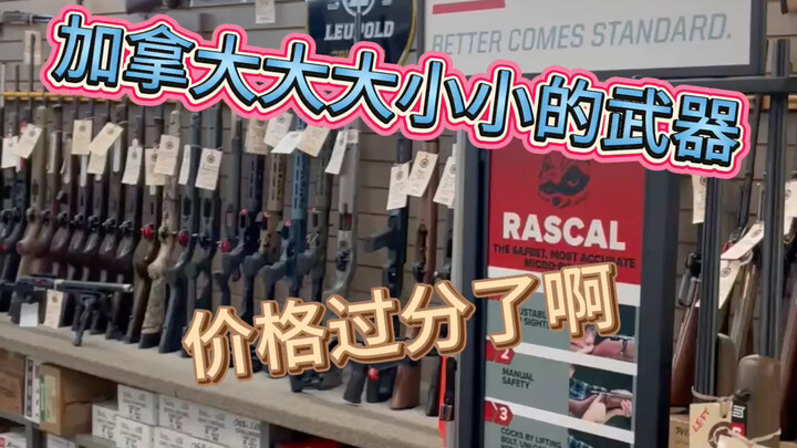 Harga gudang senjata Kanada ini terlalu mahal, sudah berhasil menawar harga untuk keluarga