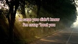 In Case You Didn't Know with lyrics - Brett Young