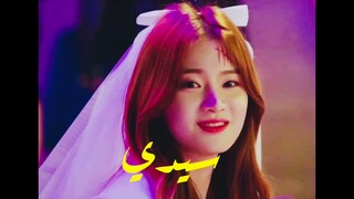افضل لقطه من مسلسل/The Zombie Detective احس القطه عفويه🥺