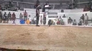 BOSS BOB2 2ND fight win using mcleanleiper x whites march 2, 2024 igay cockpit