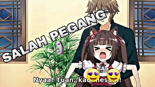 Ketika punya kucing Super Kawai 😖❤️