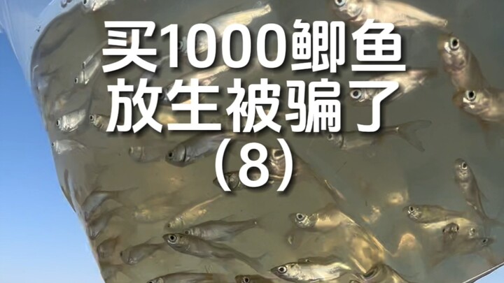 This time I bought another 1,000 crucian carps to release, and once again, I got scammed. Oh my god.