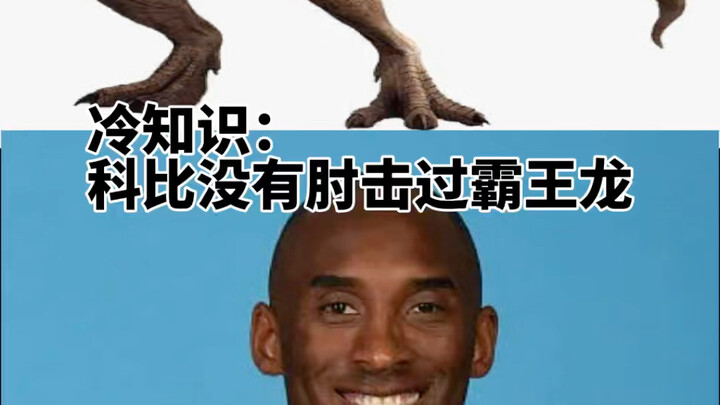 【معلومات غير معروفة】كوبي لم يضرب تيرانوصور ركس بمرفقه أبدًا