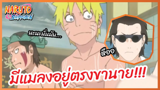 มีแมลงอยู่ตรงหว่างขานาย - Nนารูโตะ ตำนานวายุสลาตัน l พากย์ไทย