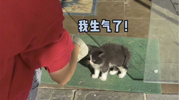 Sure enough, a sea urchin cat—nearly pricked me to death.