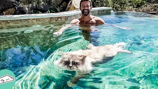 当不爱猫的人，和喜欢水的猫咪成了游泳搭子