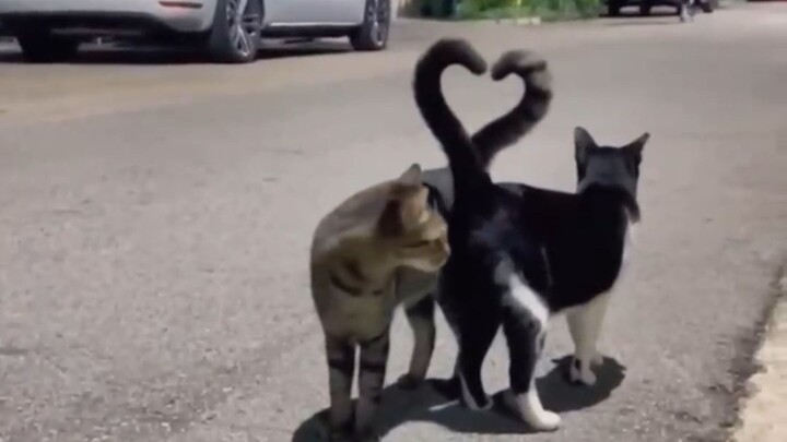 "99.999999% Synchronization Rate"