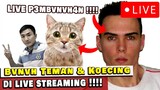 Luka Magnotta - Psikopat Ingin Terkenal !! Menyodomi & Membunuh teman LIVE