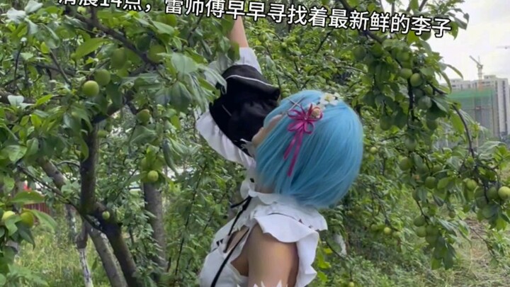 14 giờ sáng, cô Lôi sớm đi tìm những quả mận tươi ngon nhất.