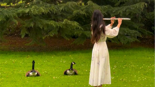 虫儿飞，虫儿飞，你在思念谁？