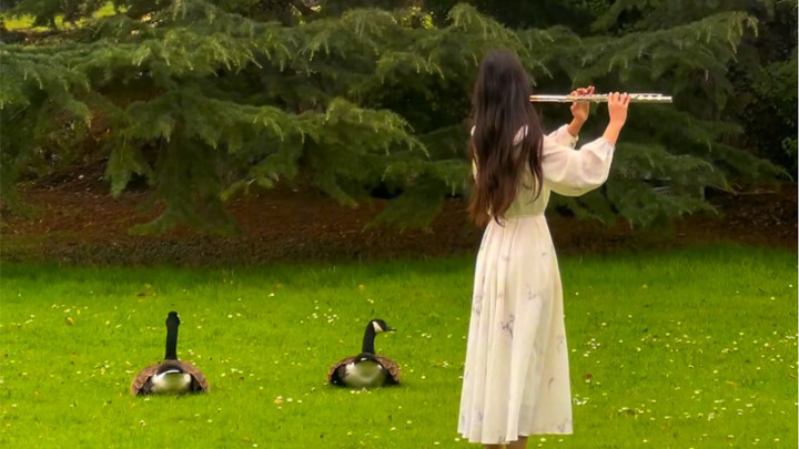 The little bugs are flying, the little bugs are flying—whom are you missing?