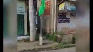 Người nhện khi thất nghiệp
