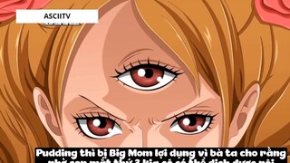 Top 6 Thiếu Nữ Dại Trai Nhất Trong One Piece #14 5