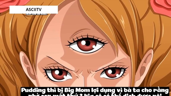 Top 6 Thiếu Nữ Dại Trai Nhất Trong One Piece #14 5