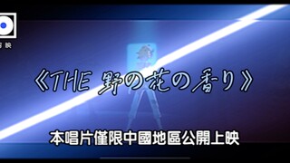 【MEIKO】【鏡音レン】THE 野の花の香り（THE野花香）完整版MV片段流出