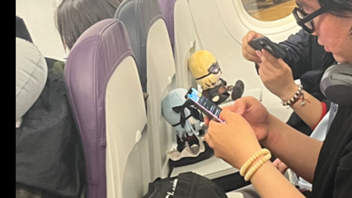 [Rooster vs. Dog] The flight to Tokyo on April 25 has become Bandoli only