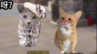 Trở nên xấu xí là như thế nào?